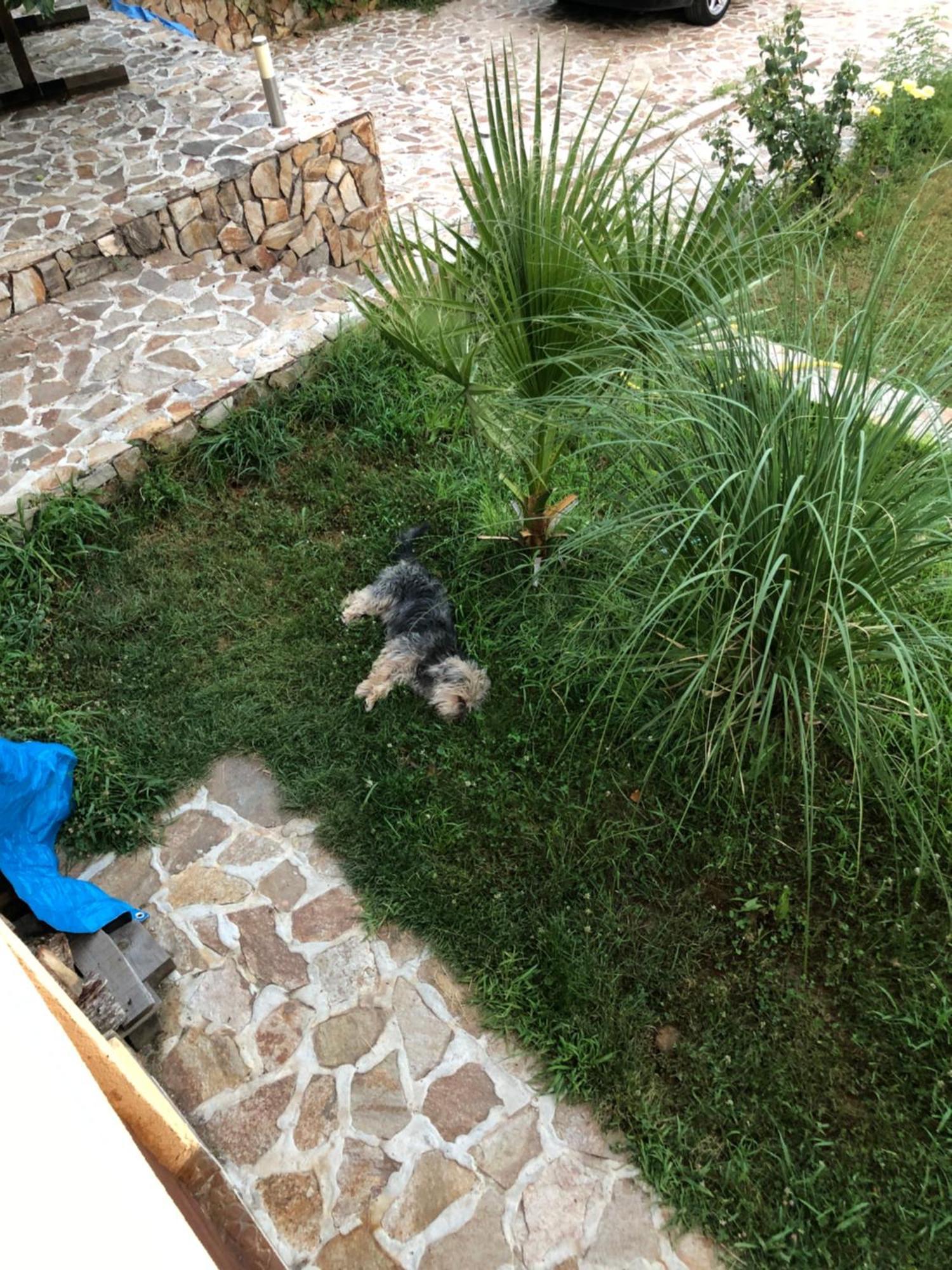 Sunshine Villa Dzhigurovo Sandanski Bagian luar foto