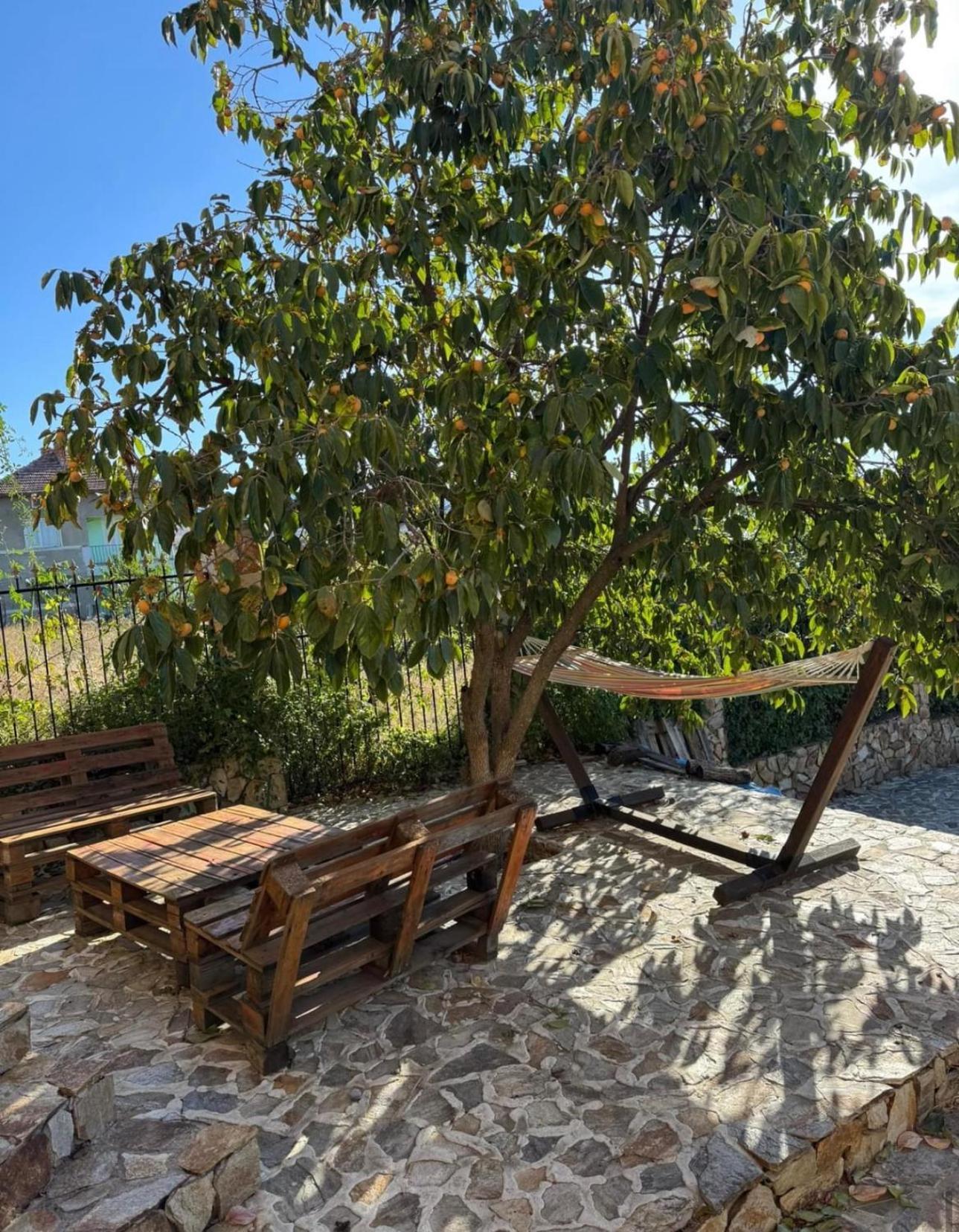 Sunshine Villa Dzhigurovo Sandanski Bagian luar foto